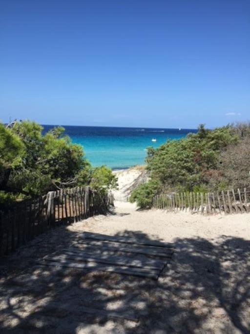 Appartement Tout Confort 2-4 Pers 500 M De La Plage Avec Piscine Et Wifi Santa-Maria-Poggio  외부 사진